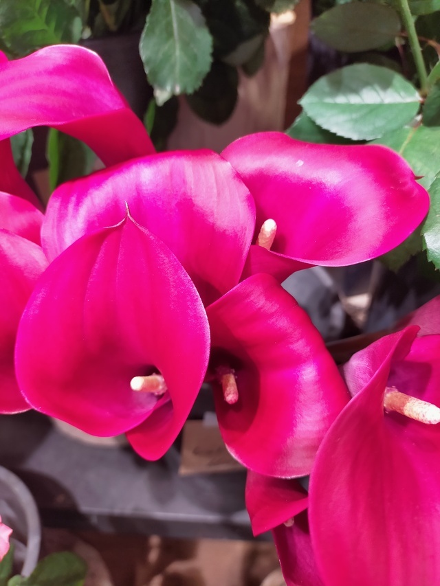 本日出勤🍁🍂