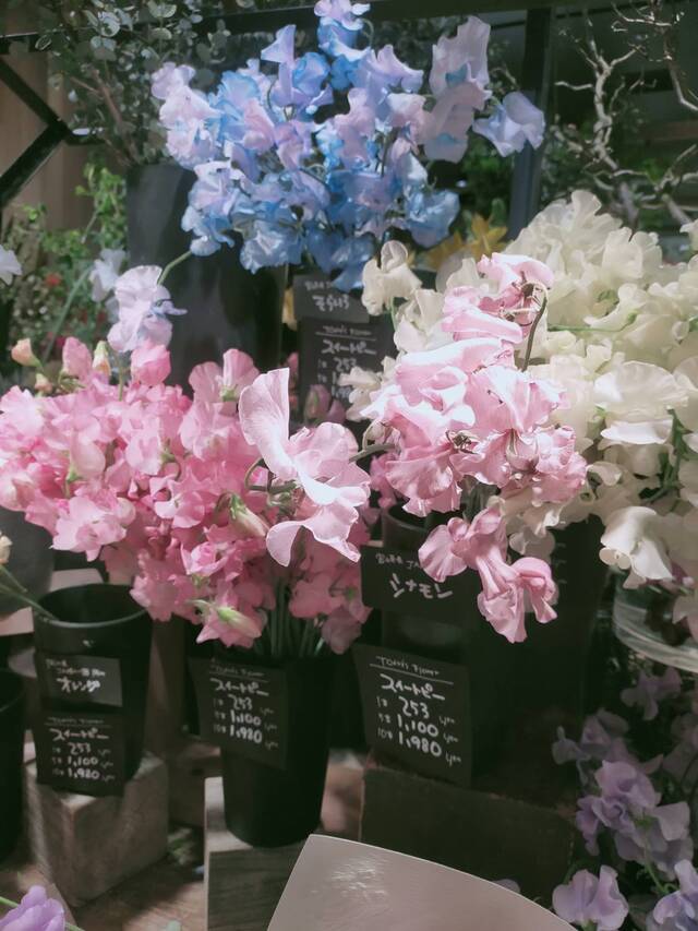 久しぶり🎄🌹