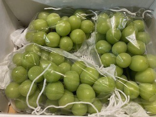 暑いですね🌻｜写メ日記｜篠崎｜大塚・巣鴨 人妻デリヘル 不倫妻の誘惑