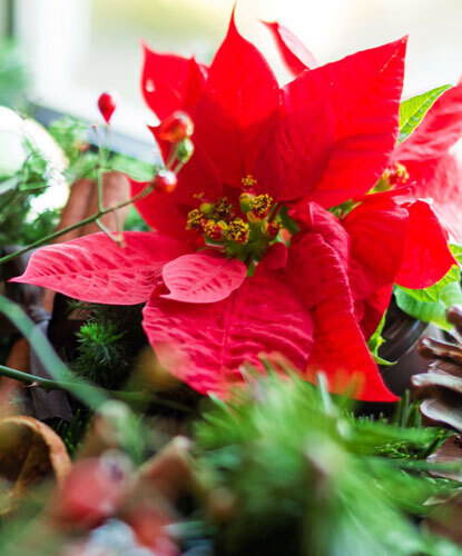 はじめまして｜写メ日記｜優香｜大塚・巣鴨 人妻デリヘル 不倫妻の誘惑