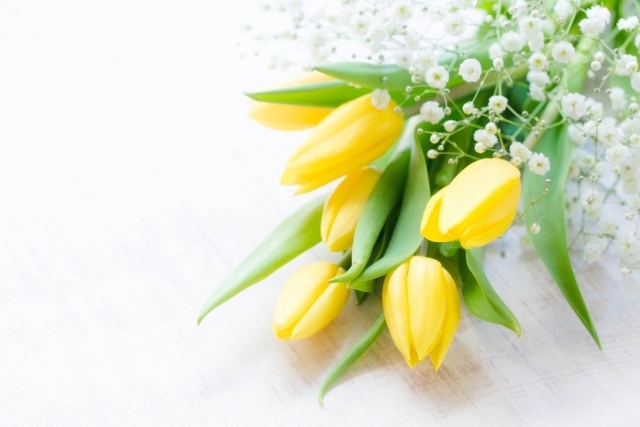 2月も終わりですね|写メ日記|優香|大塚・巣鴨 人妻デリヘル 不倫妻の誘惑