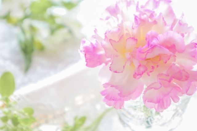 おはようございます｜写メ日記｜君島｜大塚・巣鴨 人妻デリヘル 不倫妻の誘惑