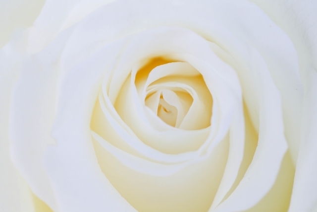 ありがとうございます|写メ日記|君島|大塚・巣鴨 人妻デリヘル 不倫妻の誘惑