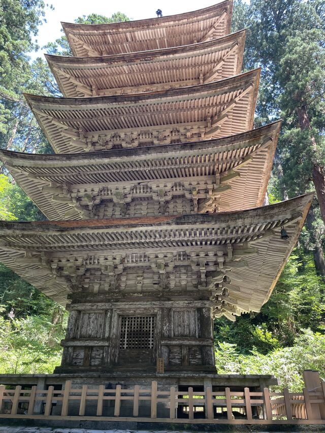 おはようございます♪