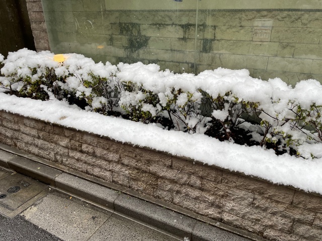 降りましたね｜写メ日記｜井上｜鶯谷 人妻デリヘル 熟らぶ