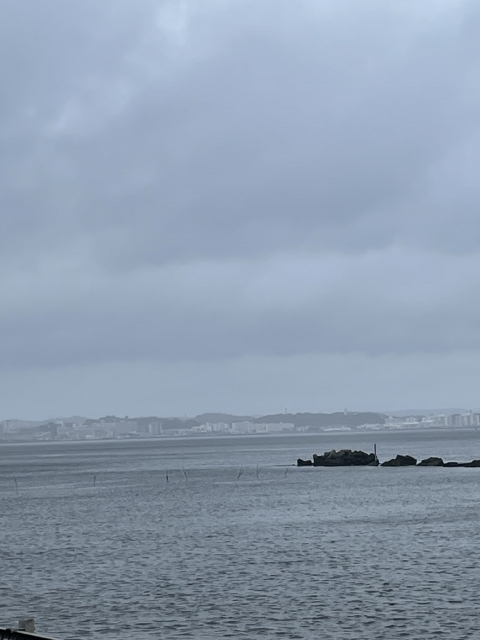 横須賀日記｜写メ日記｜相田｜鶯谷 人妻デリヘル 熟らぶ