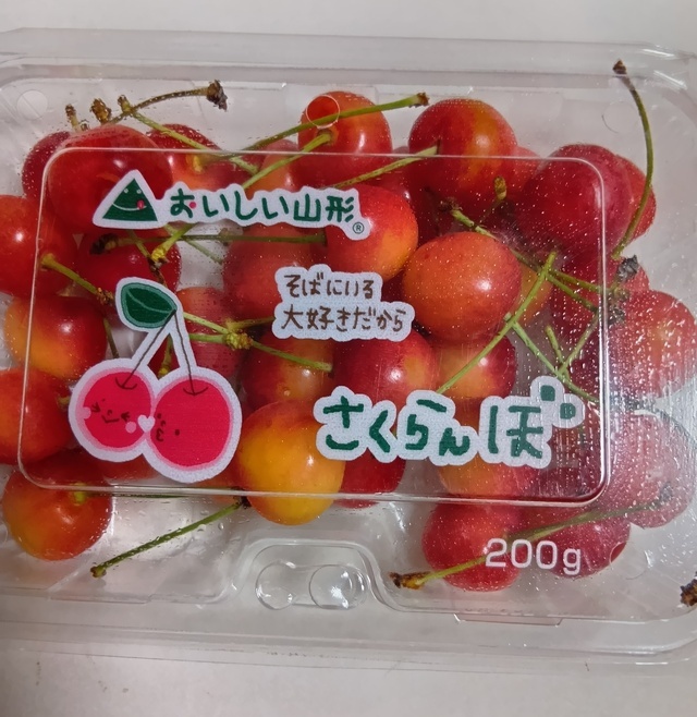 おはようございます😃