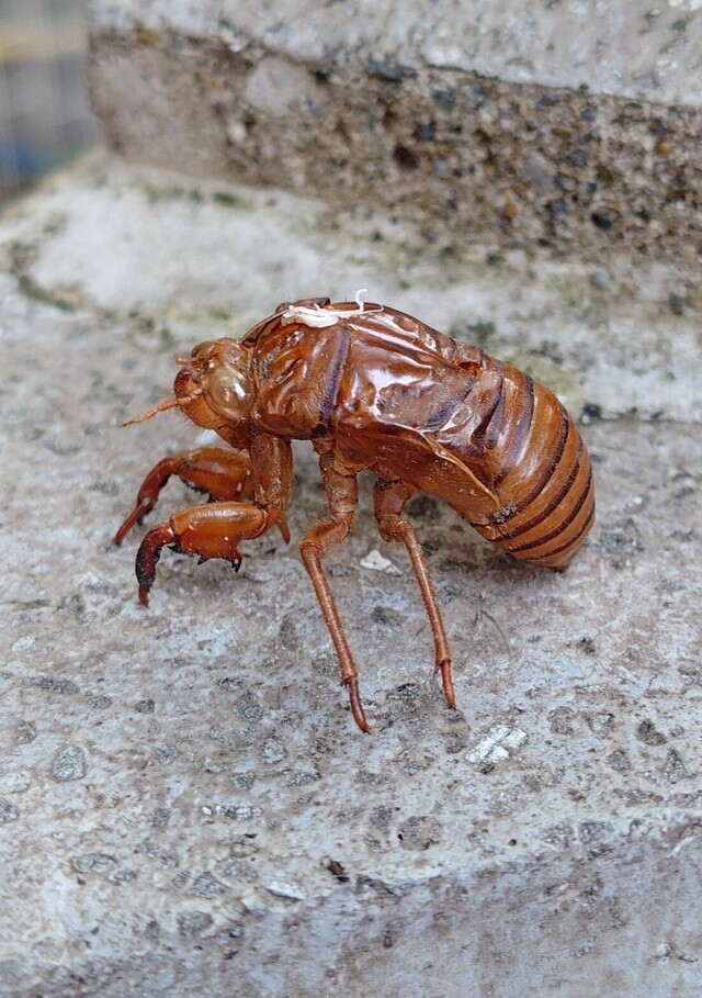 ✨懐かしい✨