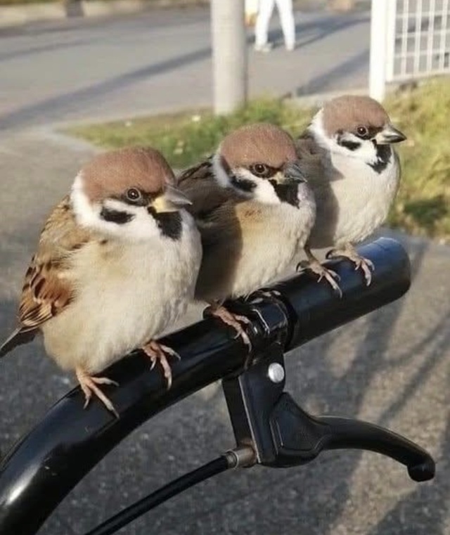 こんにちは。