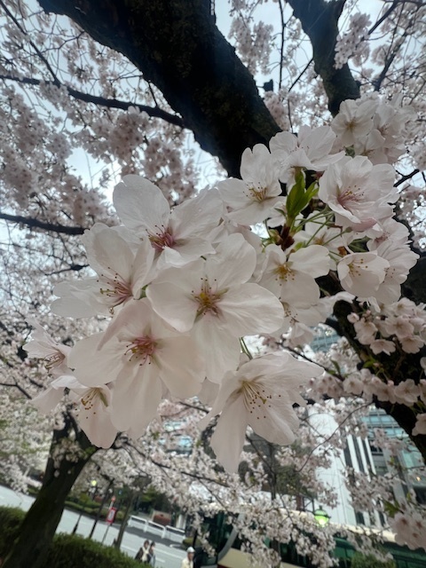 こんにちは｜写メ日記｜立花｜鶯谷 人妻デリヘル 熟らぶ