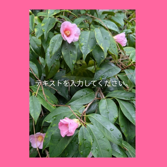 年末年始の出勤のお知らせ｡⁠◕⁠‿⁠◕⁠｡｜写メ日記｜椿｜鶯谷 人妻デリヘル 熟らぶ