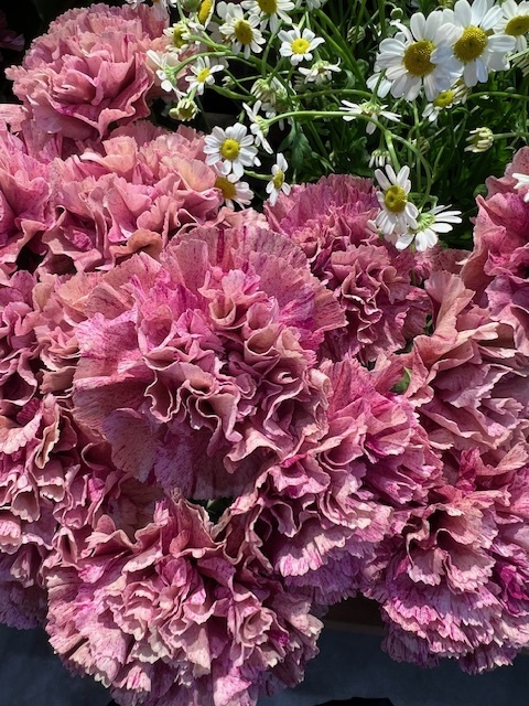 おはようございます☀