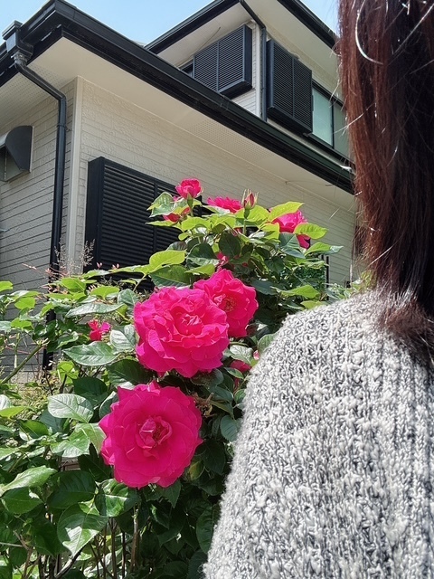 お隣さん