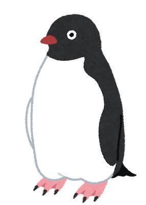 今日はペンギンの日｜写メ日記｜海老原るる｜品川・五反田 出張エステ アロマファンタジー高輪