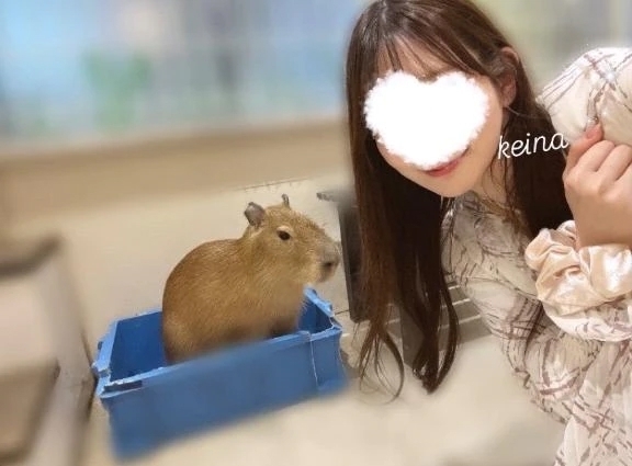 ラスト２回、、、、、｜写メ日記｜有馬けいな｜品川・五反田 出張エステ アロマファンタジー高輪