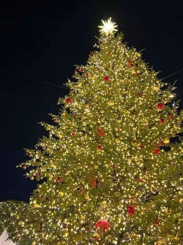 出勤日｜写メ日記｜司波ゆめか｜品川・五反田 出張エステ アロマファンタジー高輪