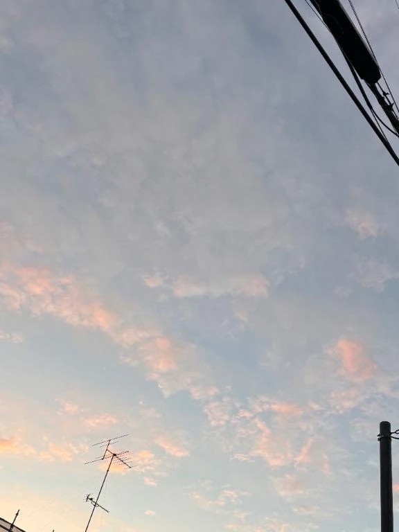 明日から💕｜写メ日記｜榎本しいか｜品川・五反田 出張エステ アロマファンタジー高輪