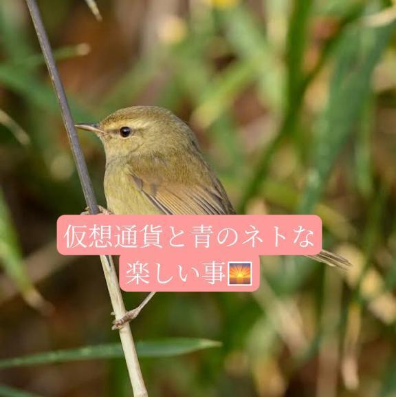 カモシカ足の紳士様へお礼です｜写メ日記｜◆あさみ｜錦糸町・小岩・葛西 一般デリヘル マダム錦糸町