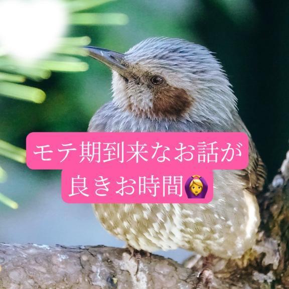 シャレオツ少年紳士様へお礼です｜写メ日記｜◆あさみ｜錦糸町・小岩・葛西 一般デリヘル マダム錦糸町