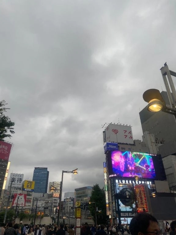 引退です😢｜写メ日記｜綾｜錦糸町・小岩・葛西 一般デリヘル マダム錦糸町
