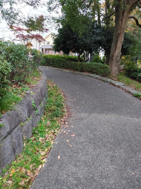 おはようございます｜写メ日記｜みどり｜錦糸町・小岩・葛西 一般デリヘル マダム錦糸町