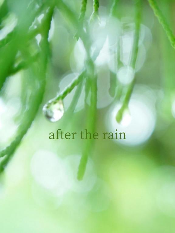 雨上がり｜写メ日記｜花恋｜錦糸町・小岩・葛西 一般デリヘル マダム錦糸町