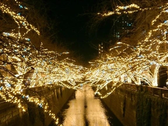 ありがとうございました💐｜写メ日記｜由梨絵｜錦糸町・小岩・葛西 一般デリヘル マダム錦糸町