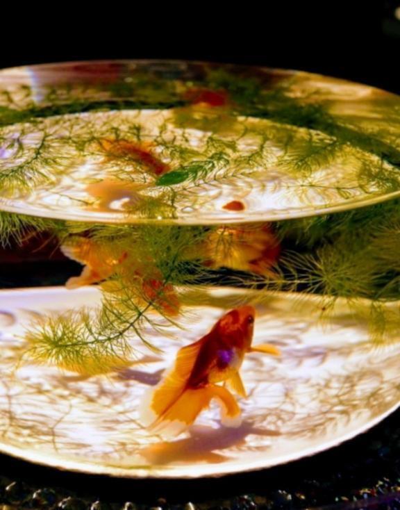 貴方様、ごめんなさい｜写メ日記｜さちえ｜錦糸町・小岩・葛西 一般デリヘル マダム錦糸町