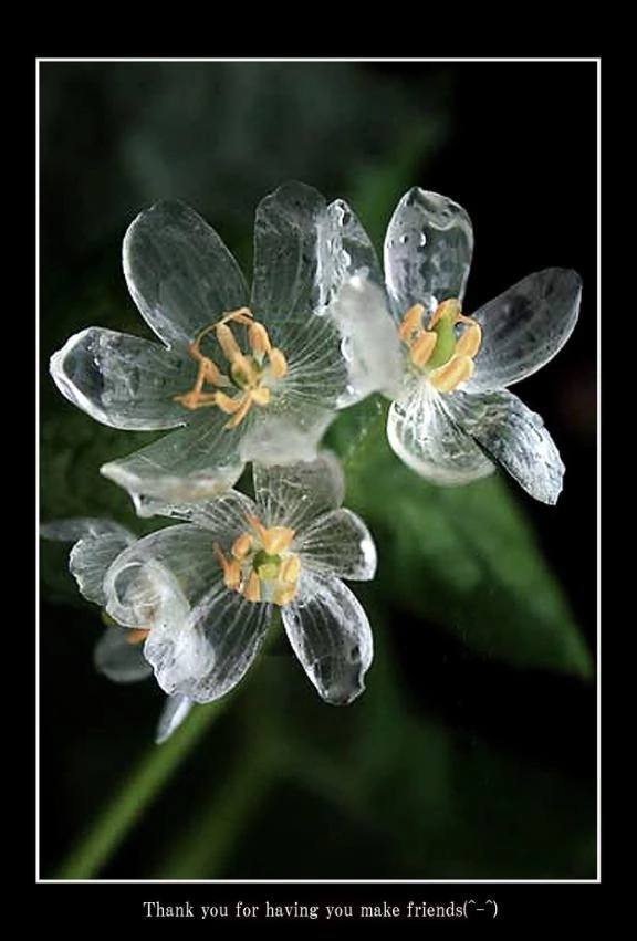一言メッセージ｜写メ日記｜ちとせ｜錦糸町・小岩・葛西 一般デリヘル マダム錦糸町