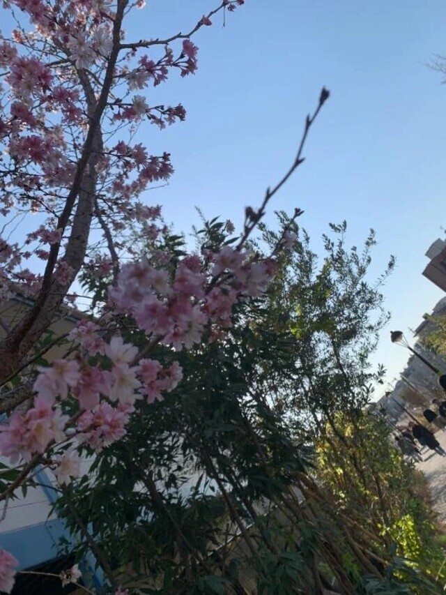 出勤しま〜す。｜写メ日記｜ちとせ｜錦糸町・小岩・葛西 一般デリヘル マダム錦糸町