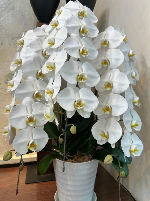 週末のご予定は？｜写メ日記｜マリア｜錦糸町・小岩・葛西 一般デリヘル マダム錦糸町