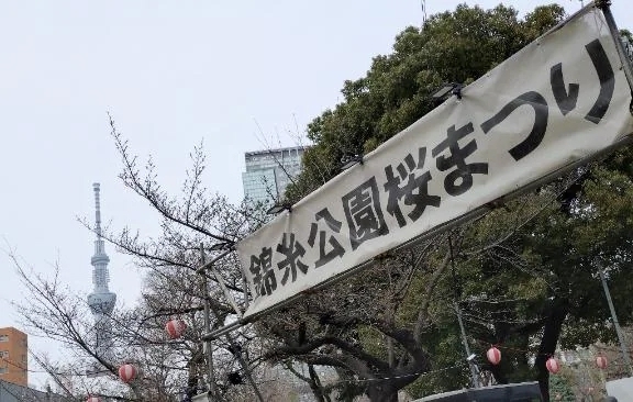 咲き始め。｜写メ日記｜みずほ｜錦糸町・小岩・葛西 一般デリヘル マダム錦糸町