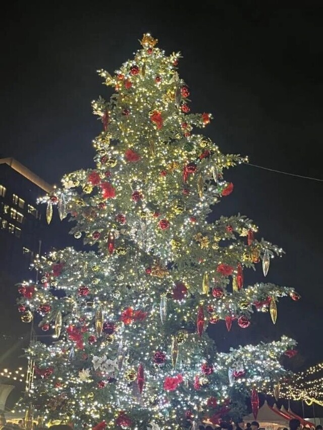 ❤️12/18 お礼❤️｜写メ日記｜ななか｜錦糸町・小岩・葛西 一般デリヘル マダム錦糸町