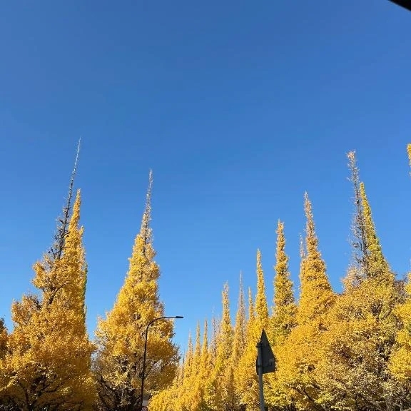 温め愛たいですね🩷