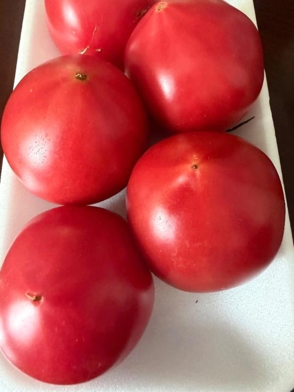 真っ赤な🍅に興奮！！