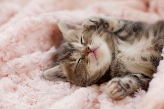 楽しみです｜写メ日記｜りお｜錦糸町・小岩・葛西 一般デリヘル マダム錦糸町