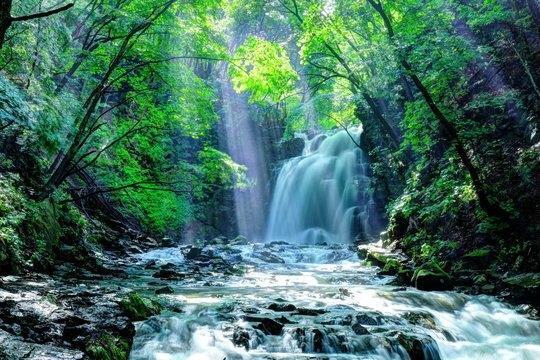 おはようございます｜写メ日記｜りお｜錦糸町・小岩・葛西 一般デリヘル マダム錦糸町
