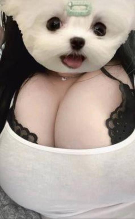 ワンッ｜写メ日記｜みこと｜新宿 出張M性感 ハイブリッド痴女性感エロメス