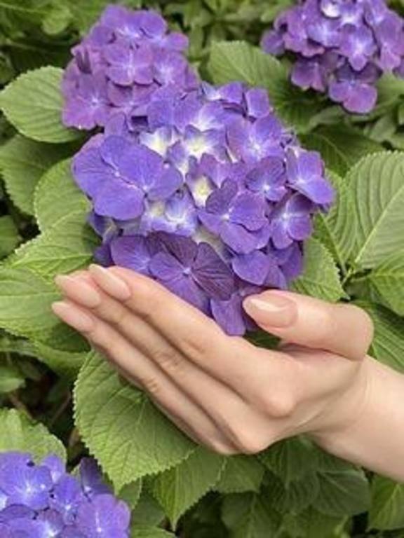 大好きなお花