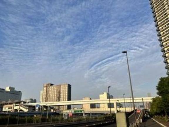 国宝｜写メ日記｜有加里｜新宿 出張M性感 ハイブリッド痴女性感エロメス