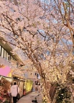 4月｜写メ日記｜りりあ｜新宿 出張M性感 ハイブリッド痴女性感エロメス