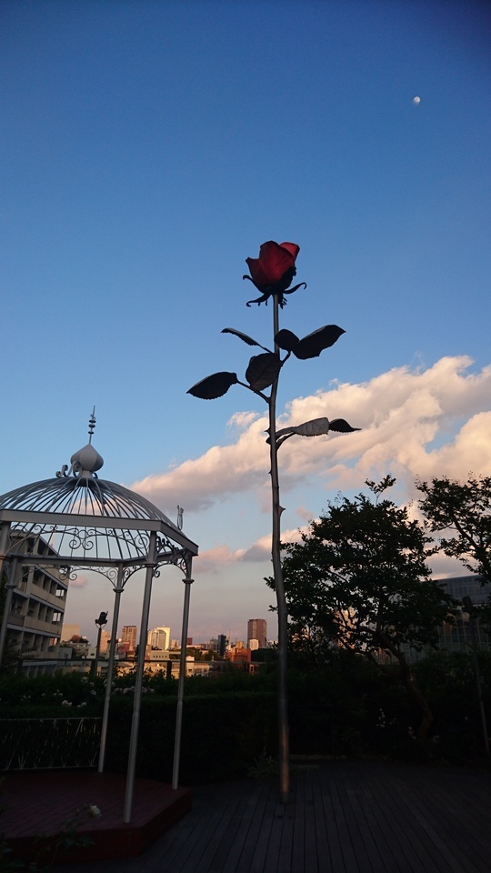 7月