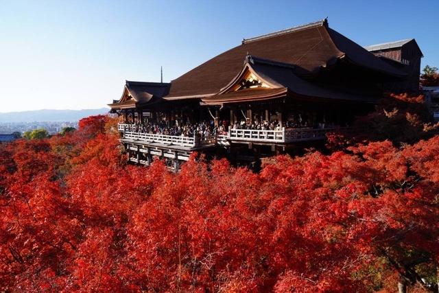 今年の漢字|写メ日記|堀井|大塚・巣鴨 人妻デリヘル 極上でエッチな人妻