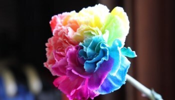 誤字の失敗｜写メ日記｜堀井｜大塚・巣鴨 人妻デリヘル 極上でエッチな人妻