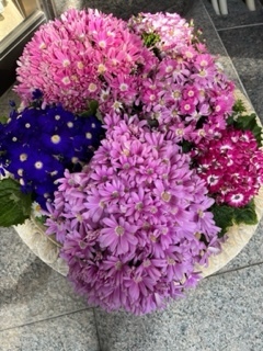 奥山です(^ ^)｜写メ日記｜奥山｜大塚・巣鴨 人妻デリヘル 極上でエッチな人妻