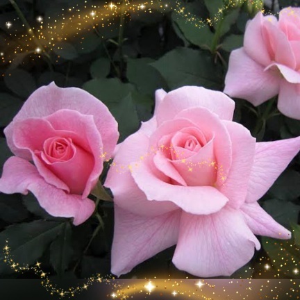 6月