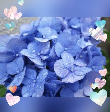 梅雨入り