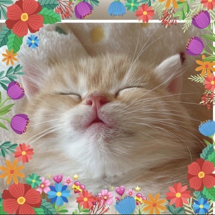 猛暑日