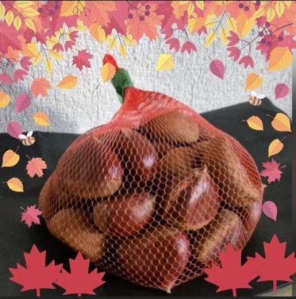 秋の味覚｜写メ日記｜小森｜大塚・巣鴨 人妻デリヘル 極上でエッチな人妻