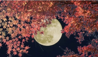 スーパームーン｜写メ日記｜小森｜大塚・巣鴨 人妻デリヘル 極上でエッチな人妻